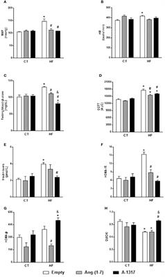 The Novel Angiotensin-(1–7) Analog, A-1317, Improves Insulin Resistance by Restoring Pancreatic β-Cell Functionality in Rats With Metabolic Syndrome